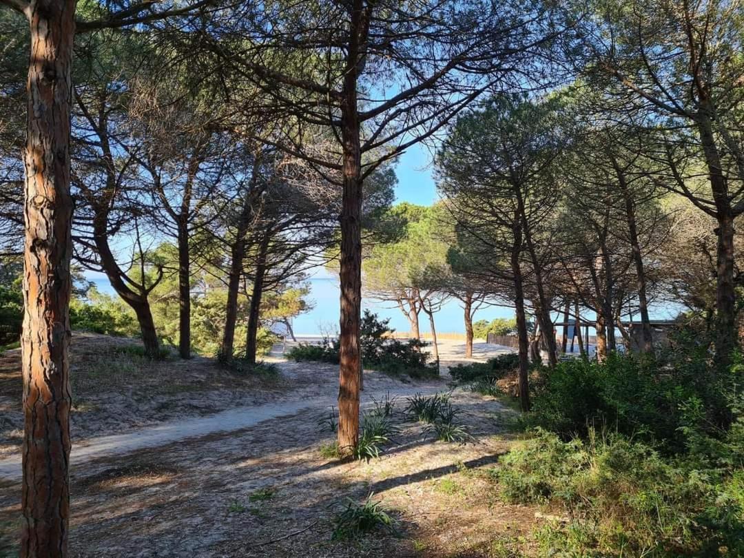 Villa My Baby House Alghero Esterno foto